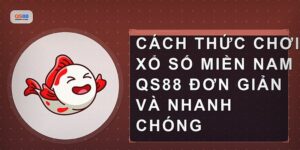 Xổ Số Miền Nam Qs88 Cách Chơi Và Kinh Nghiệm Thắng Lớn