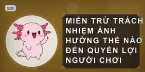Miễn Trừ Trách Nhiệm Trong Cá Cược Trực Tuyến Người Chơi Cần Biết