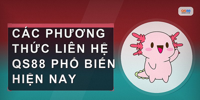 Các phương thức liên hệ QS88 phổ biến hiện nay