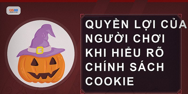 Quyền lợi của người chơi khi hiểu rõ chính sách cookie