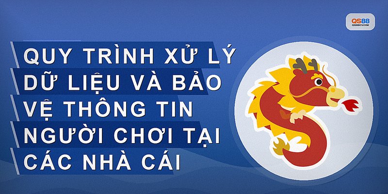 Quy trình xử lý dữ liệu và bảo vệ thông tin người chơi tại các nhà cái